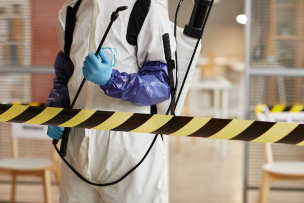 Professional Sewage Cleanup technician working in Saint Libory, IL